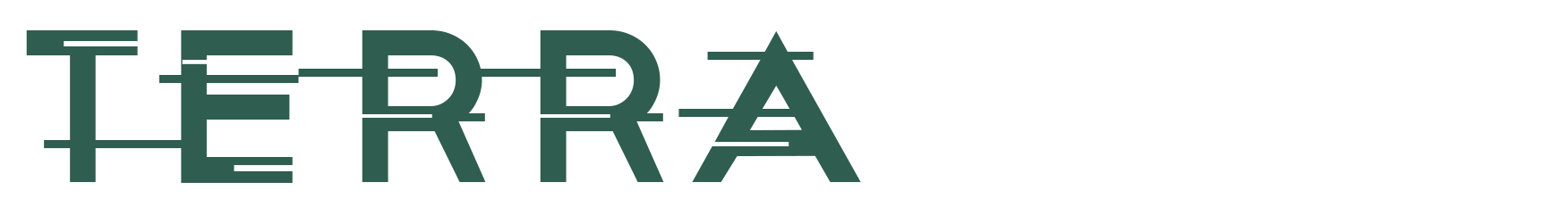 TerraView Insights